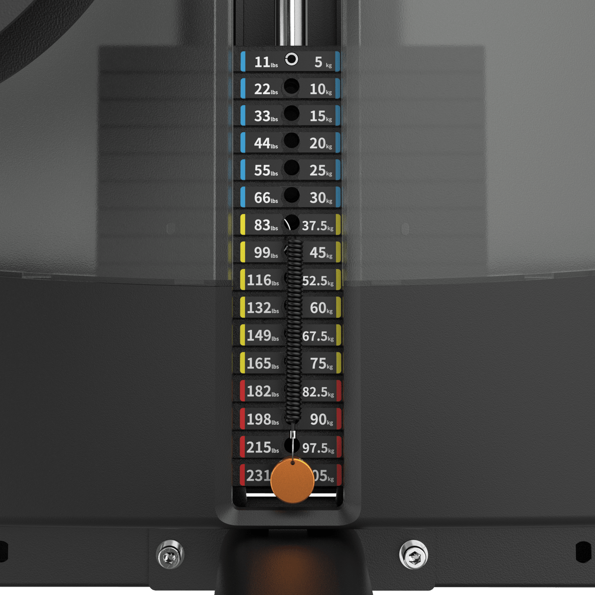 Biceps Curl IRONSIDE Luxe