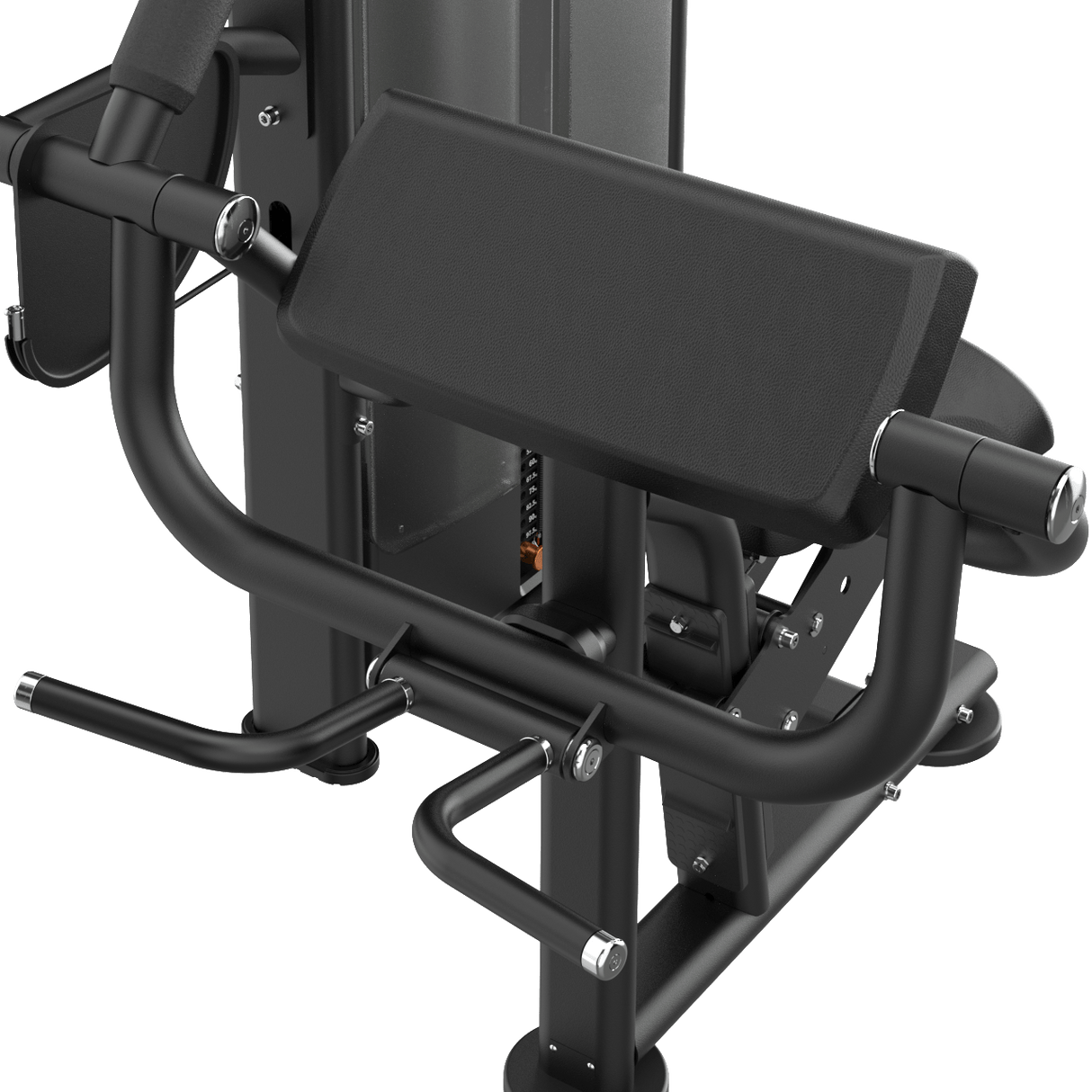 Biceps Curl IRONSIDE Luxe