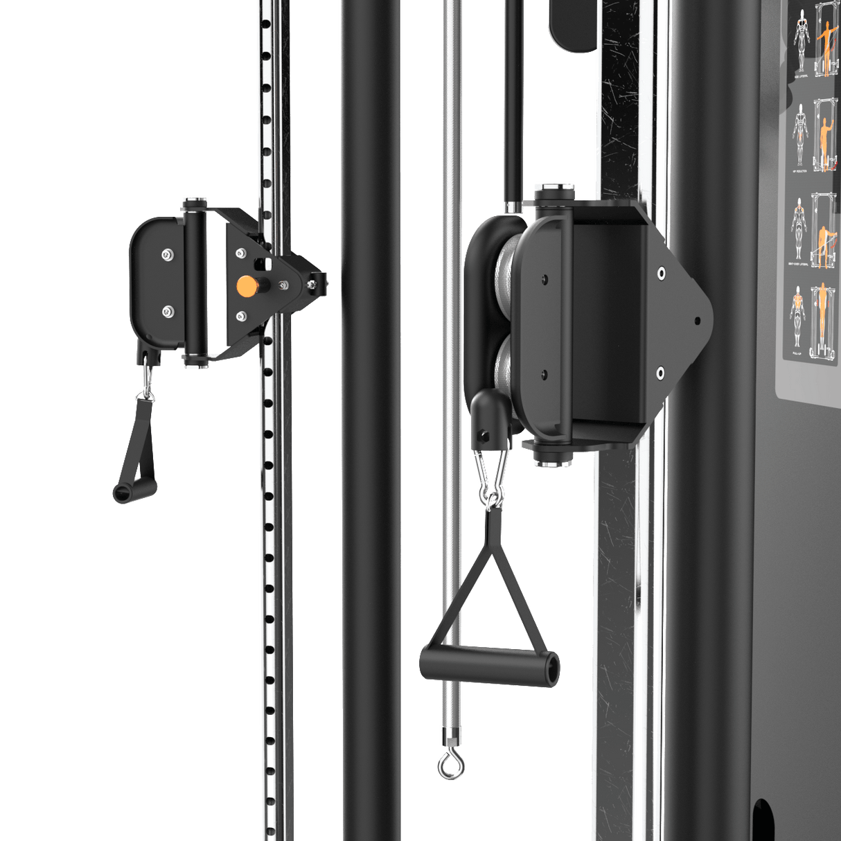 Polea Doble Ajustable IRONSIDE Luxe