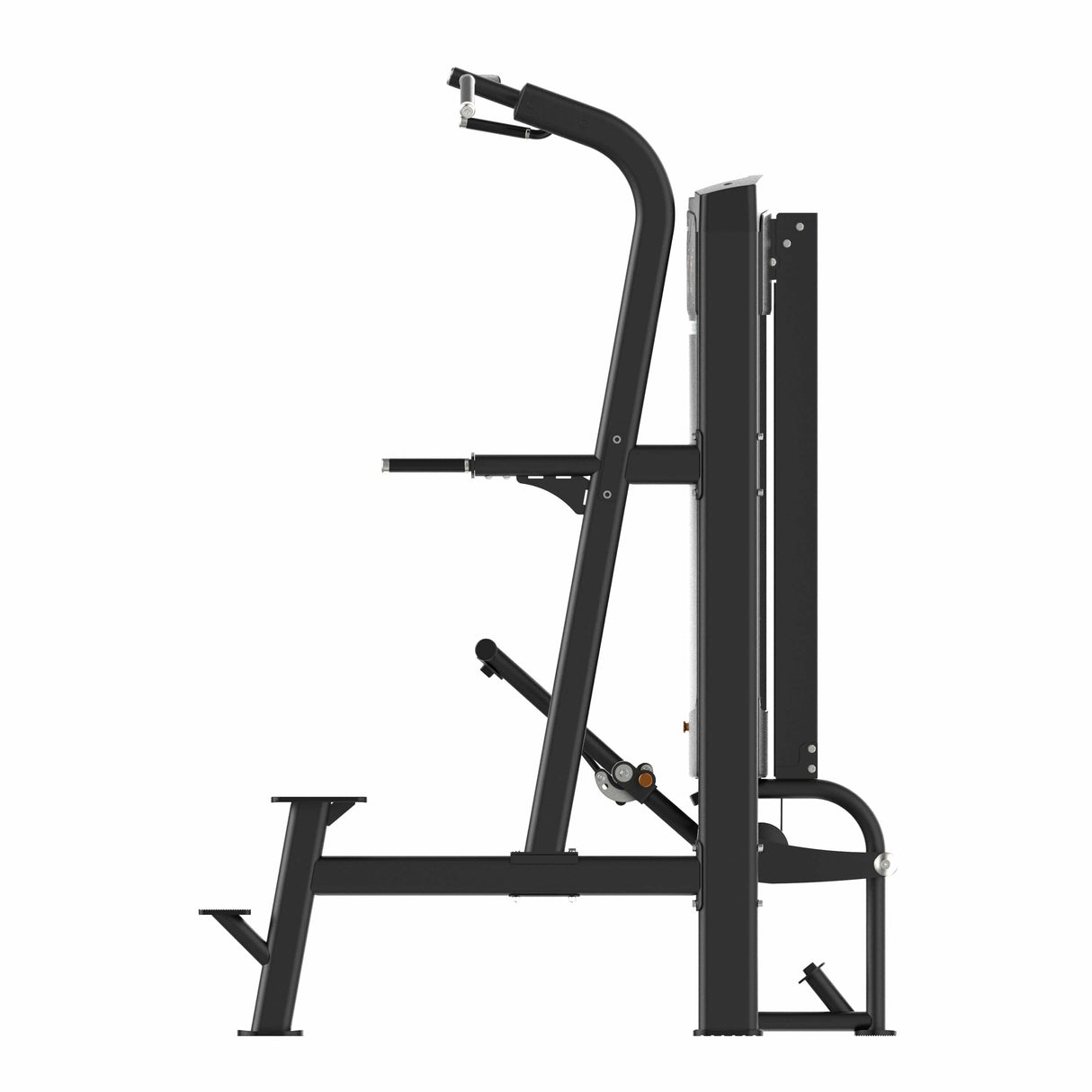 Assisted Chin & Dip IRONSIDE Luxe