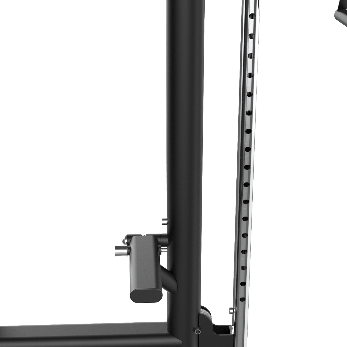 Polea Doble Ajustable IRONSIDE Luxe