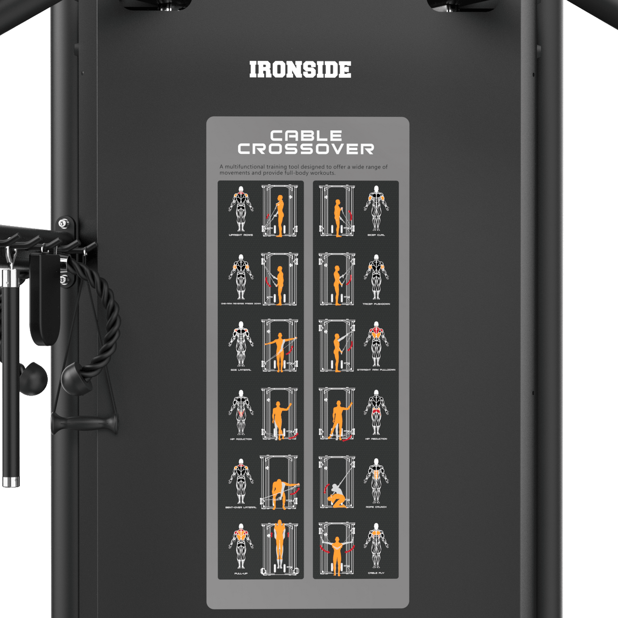 Polea Doble Ajustable IRONSIDE Luxe