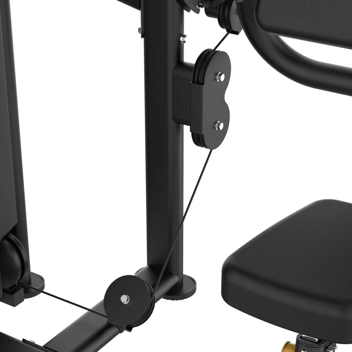 Dual Biceps & Triceps Machine IRONSIDE Elite