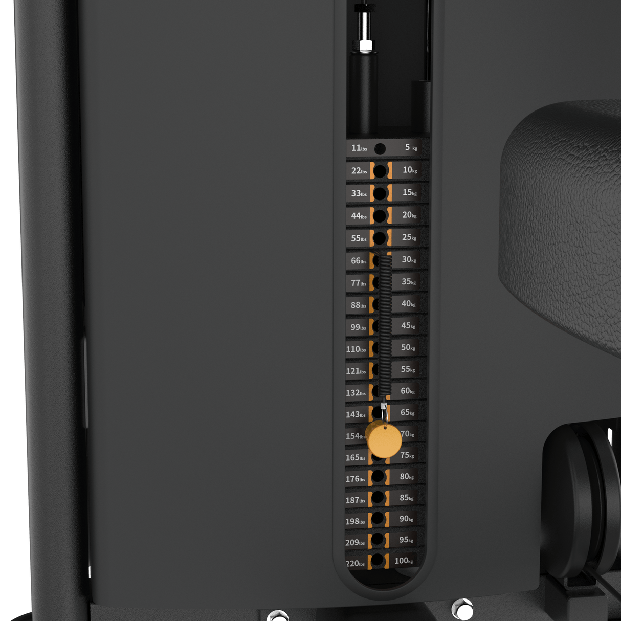 Dual Biceps & Triceps Machine IRONSIDE Elite