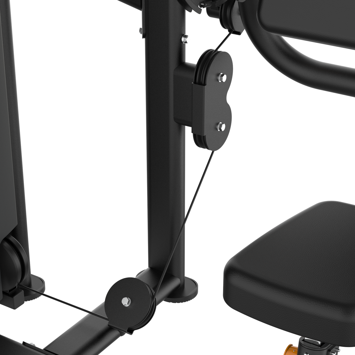 Dual Biceps & Triceps Machine IRONSIDE Elite