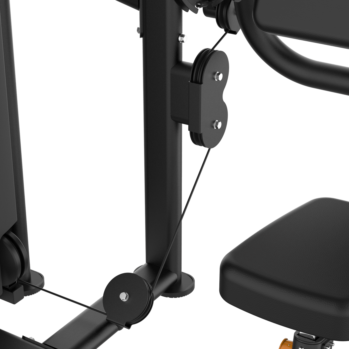 Dual Biceps & Triceps Machine IRONSIDE Elite