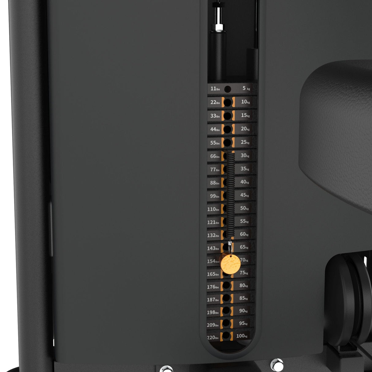 Dual Biceps & Triceps Machine IRONSIDE Elite