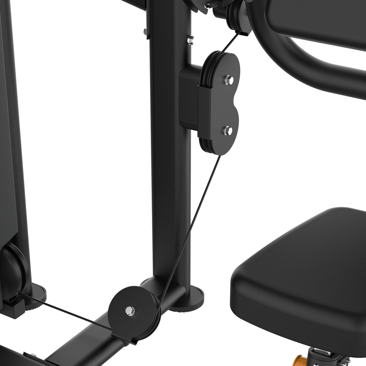 Dual Biceps & Triceps Machine IRONSIDE Elite