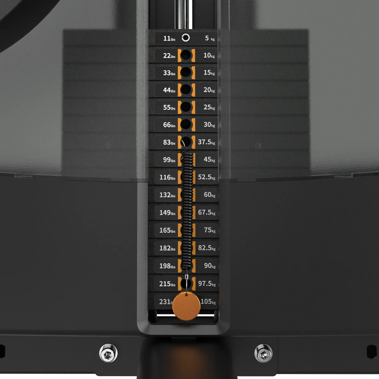 Biceps Curl IRONSIDE Luxe