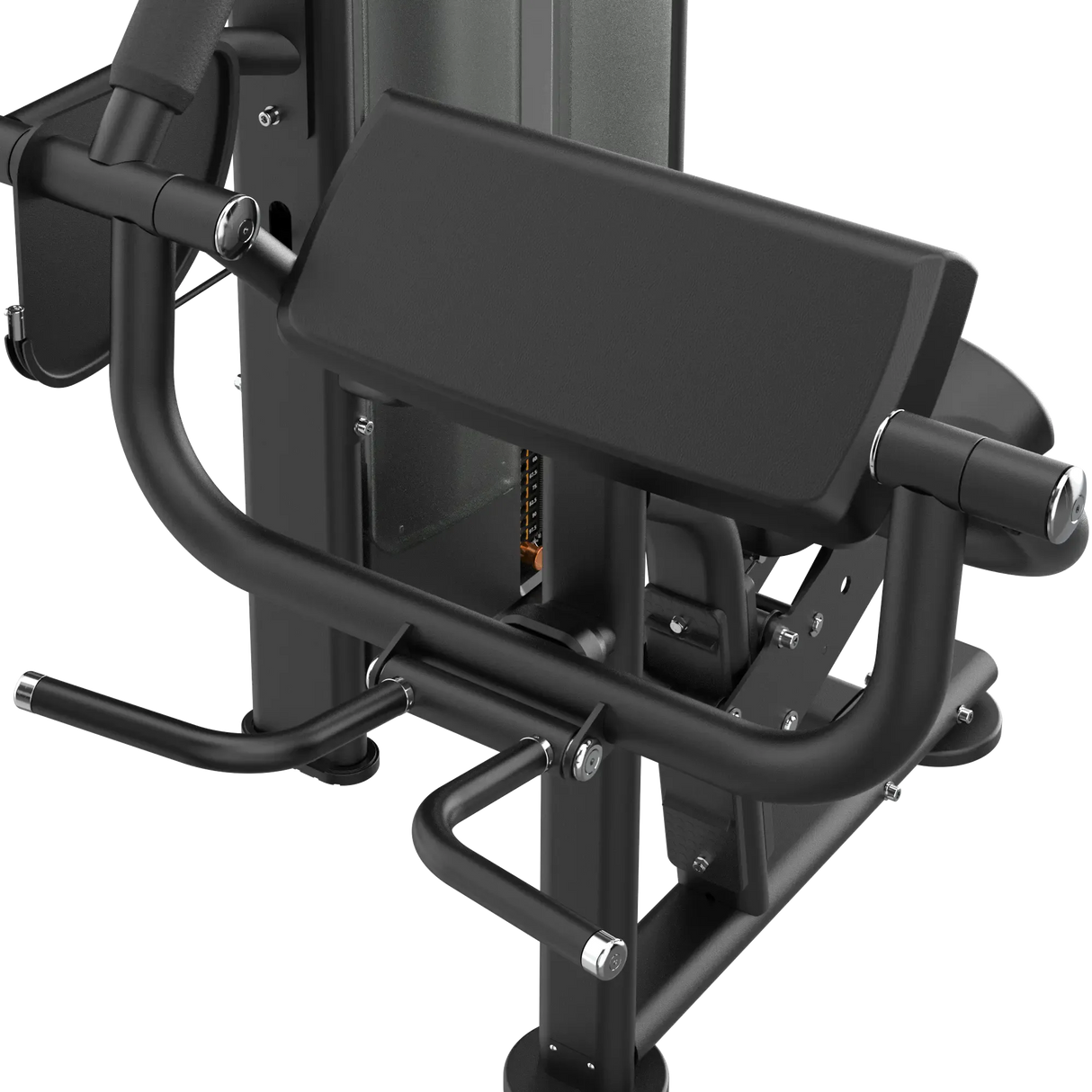 Biceps Curl IRONSIDE Luxe