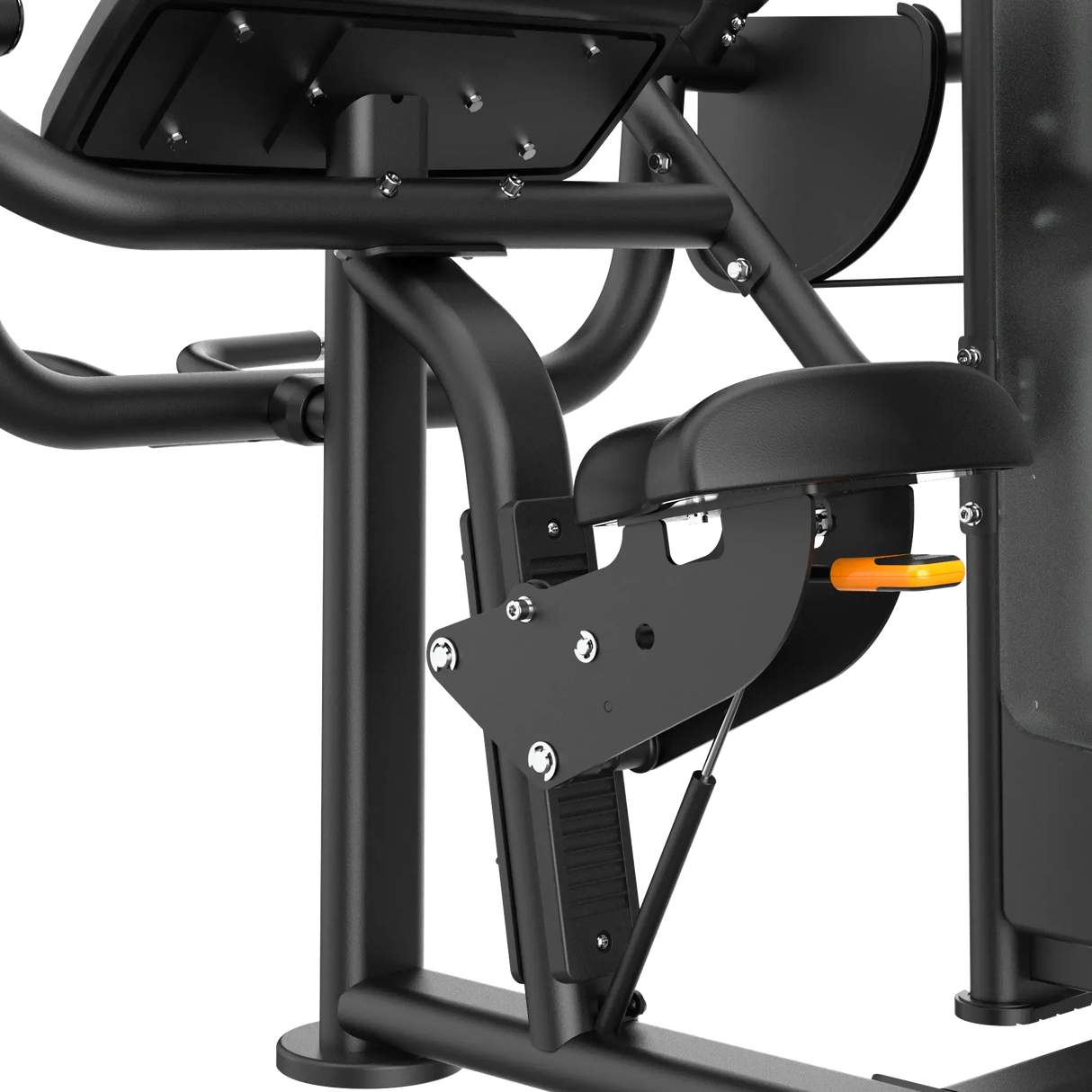 Biceps Curl IRONSIDE Luxe