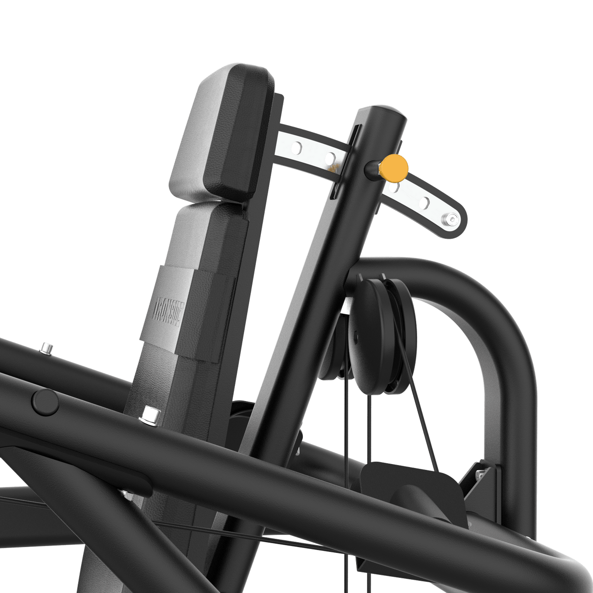 Iso-lateral Seated Biceps Curl IRONSIDE Luxe