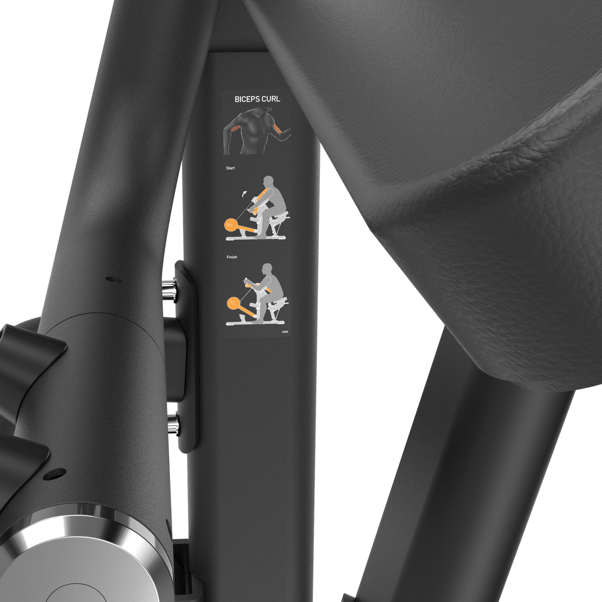 Biceps Curl Plate Loaded IRONSIDE Luxe