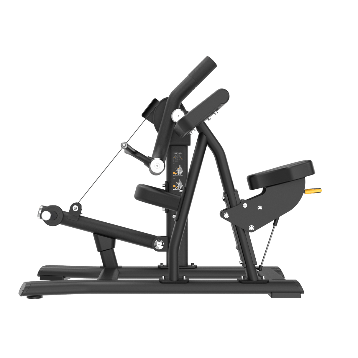 Biceps Curl Plate Loaded IRONSIDE Luxe