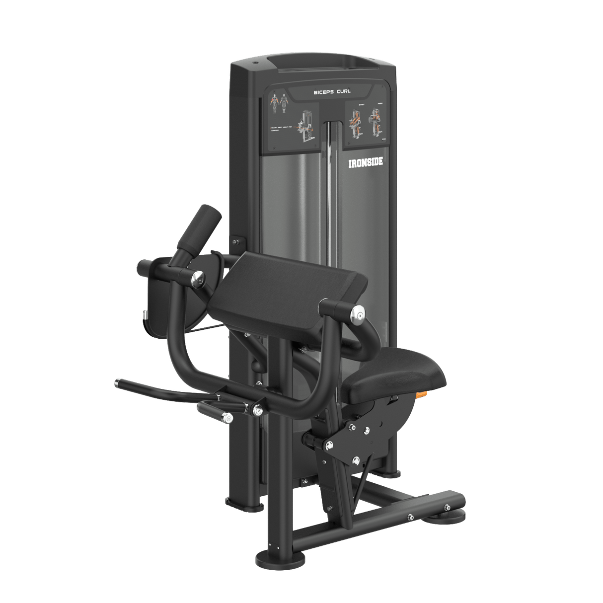 Biceps Curl IRONSIDE Luxe