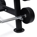 Set 10 Barras Mixtas Peso Fijo CPU (20 a 60lb) + Rack de Almacenamiento IRONSIDE