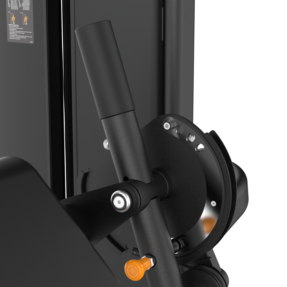 Dual Biceps & Triceps Machine IRONSIDE Elite