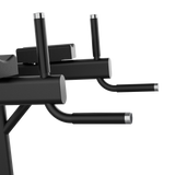 Dual Multi Pull Up & Dip IRONSIDE Luxe