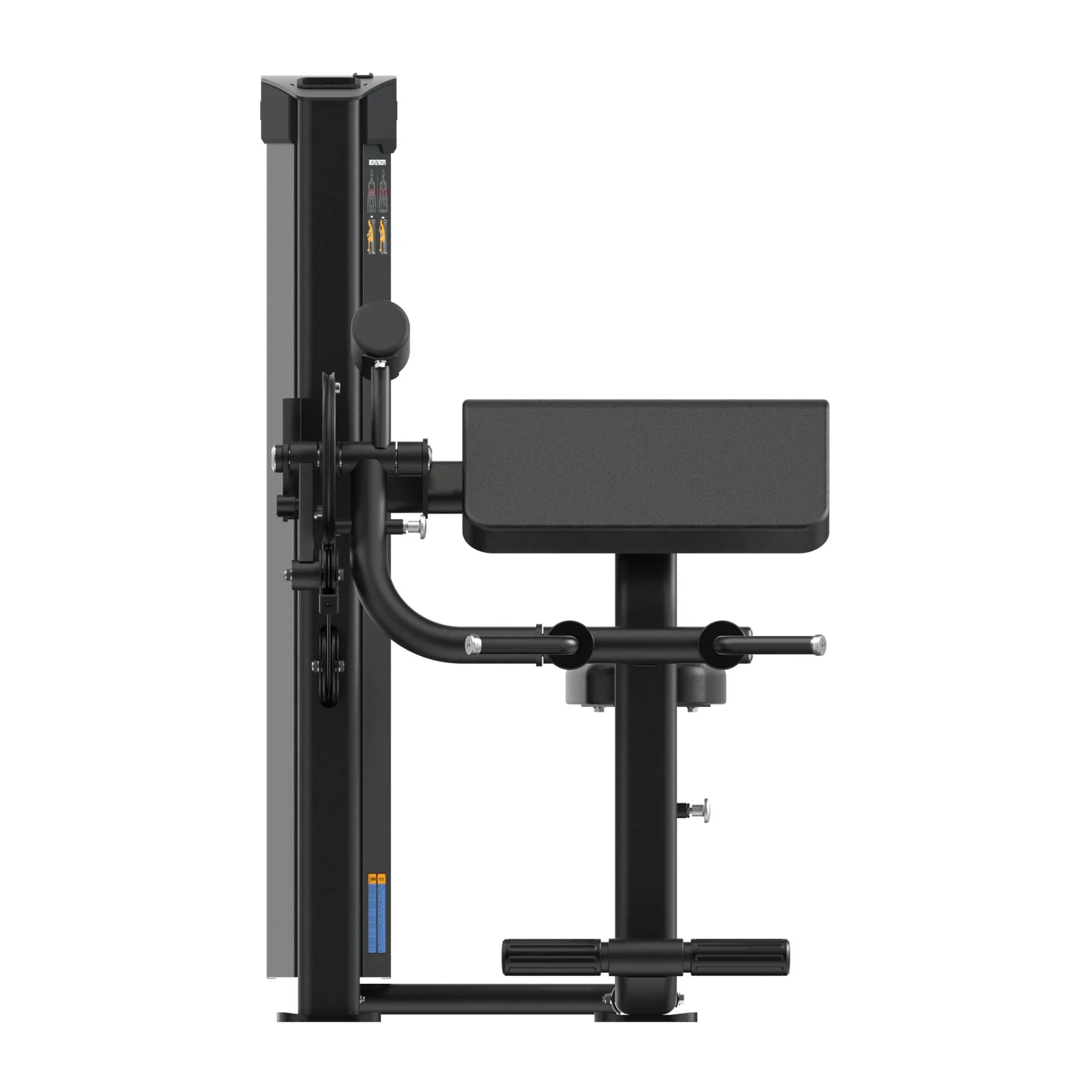 Dual Biceps & Triceps Machine IRONSIDE Elite