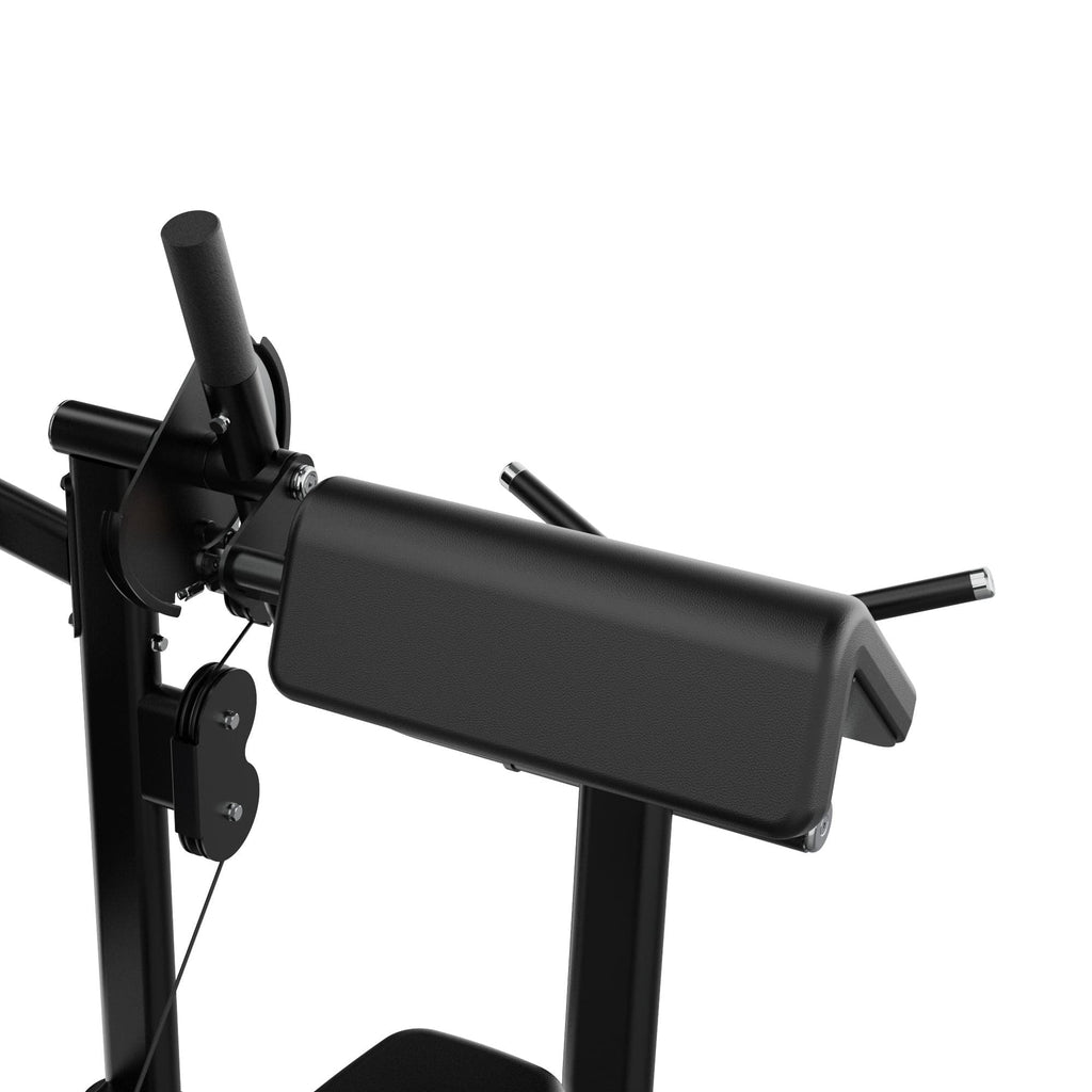 Dual Biceps & Triceps Machine IRONSIDE Luxe