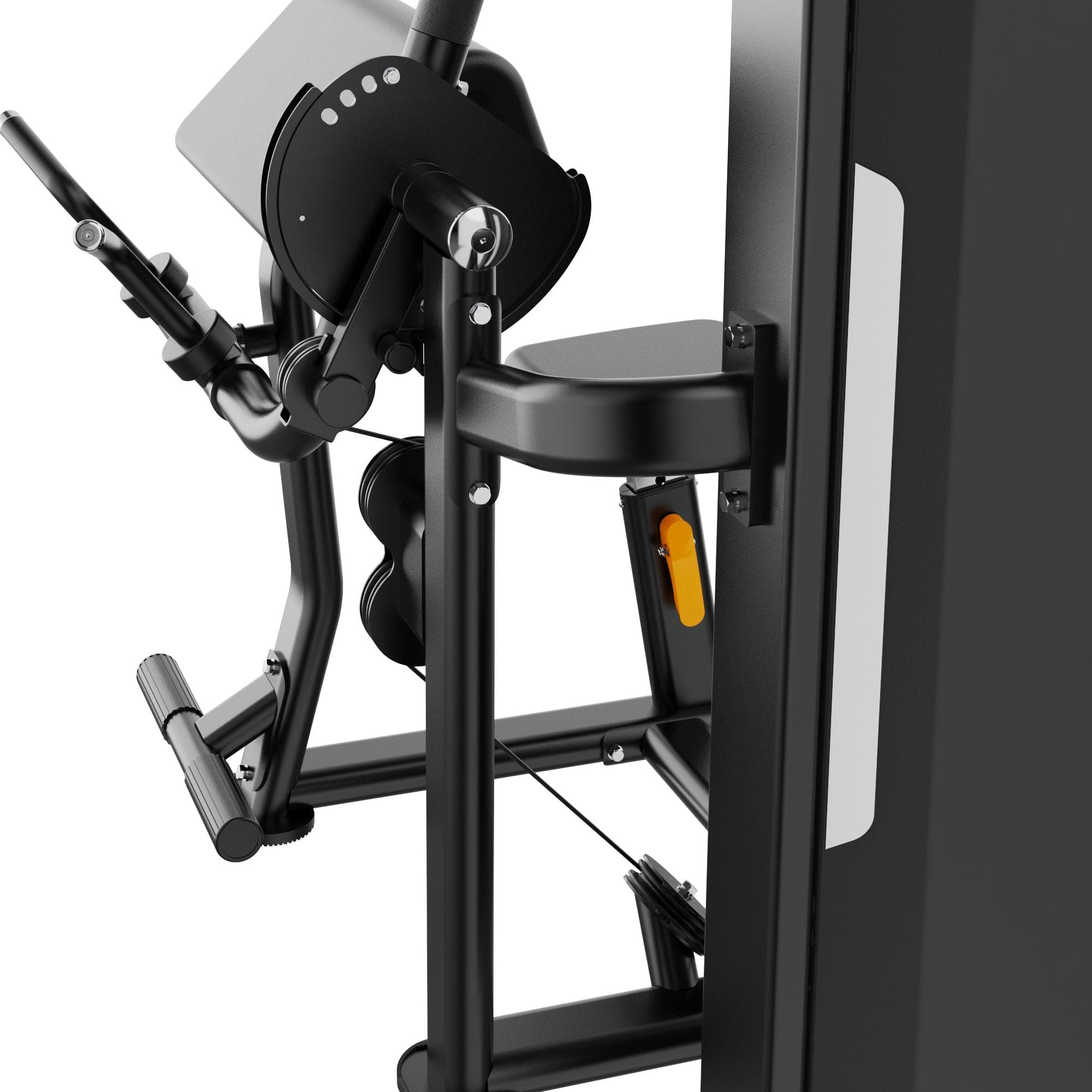 Dual Biceps & Triceps Machine IRONSIDE Luxe