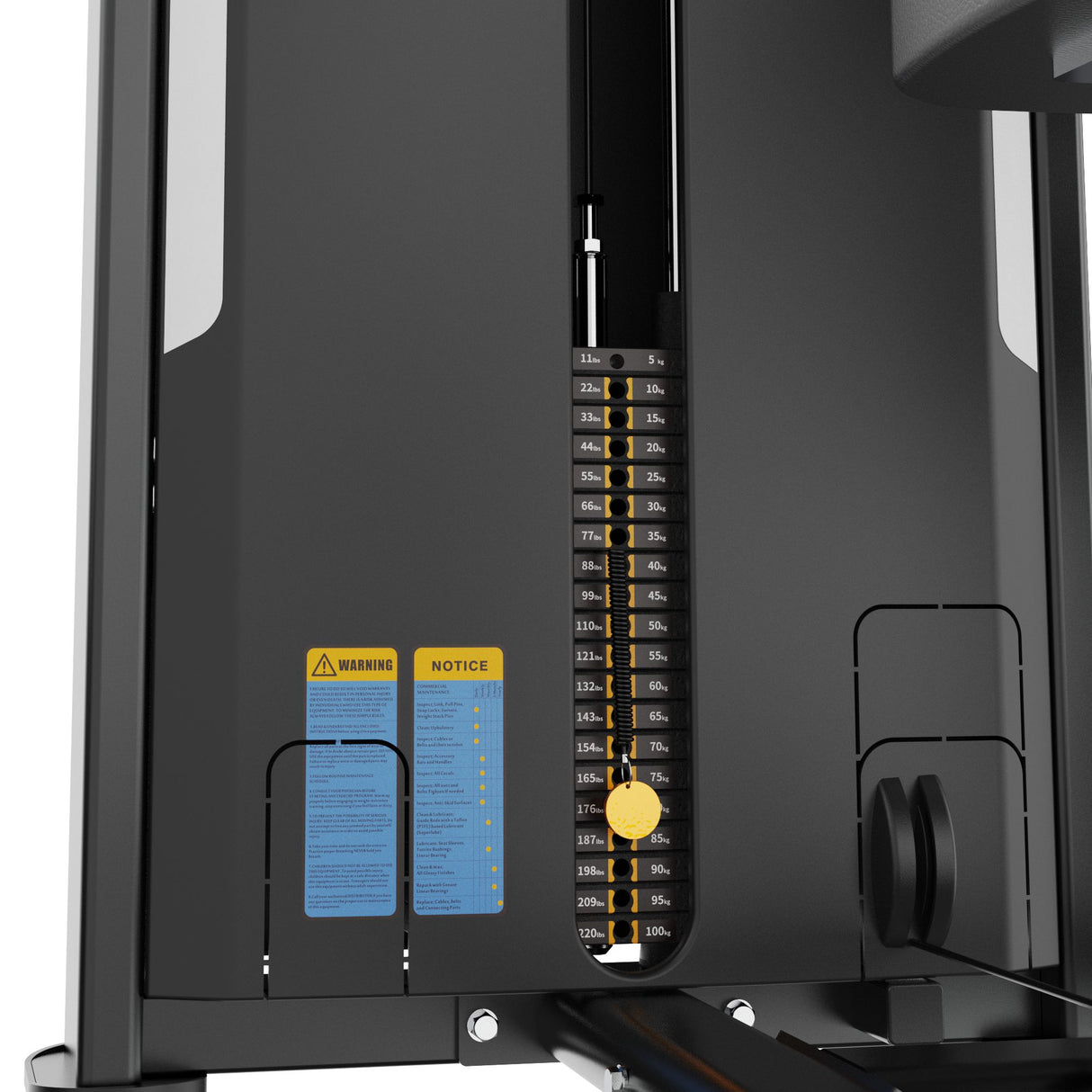 Dual Biceps & Triceps Machine IRONSIDE Luxe