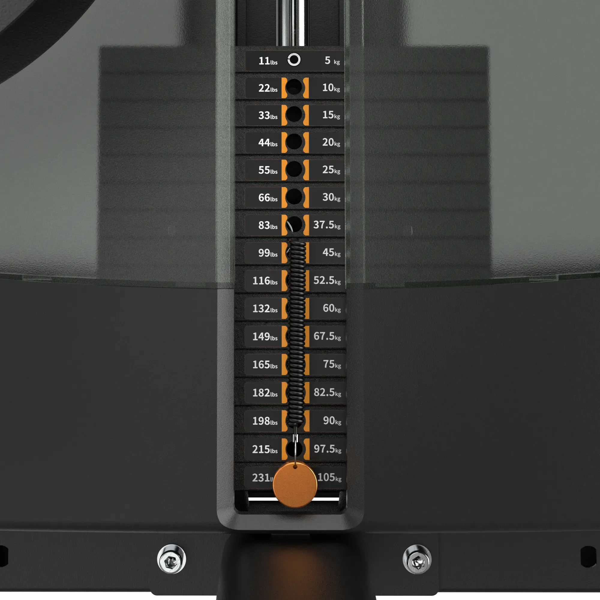 Biceps Curl IRONSIDE Luxe