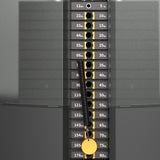 Standing Multi Flight Machine IRONSIDE Luxe