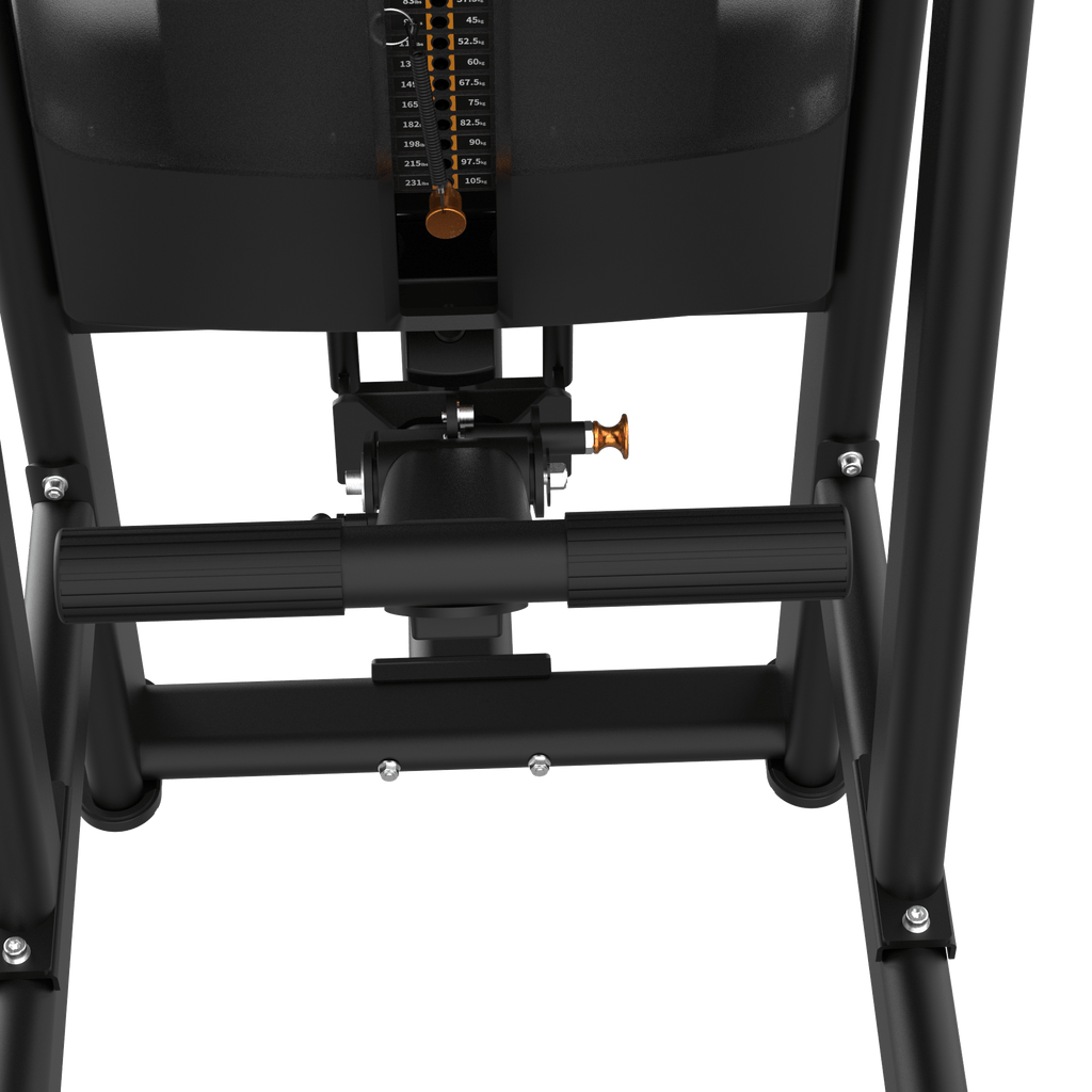 Dual Assisted Chin & Dip IRONSIDE Luxe