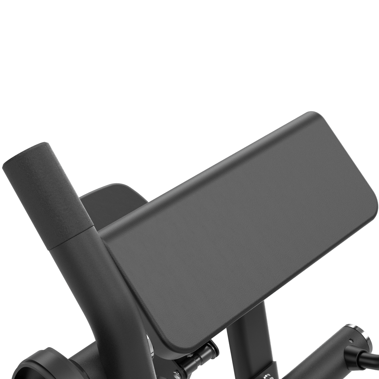 Biceps Curl Plate Loaded IRONSIDE Luxe