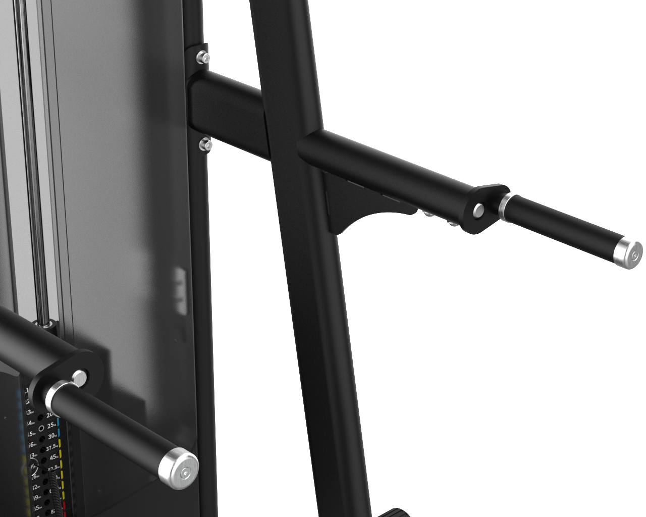 Assisted Chin & Dip IRONSIDE Luxe