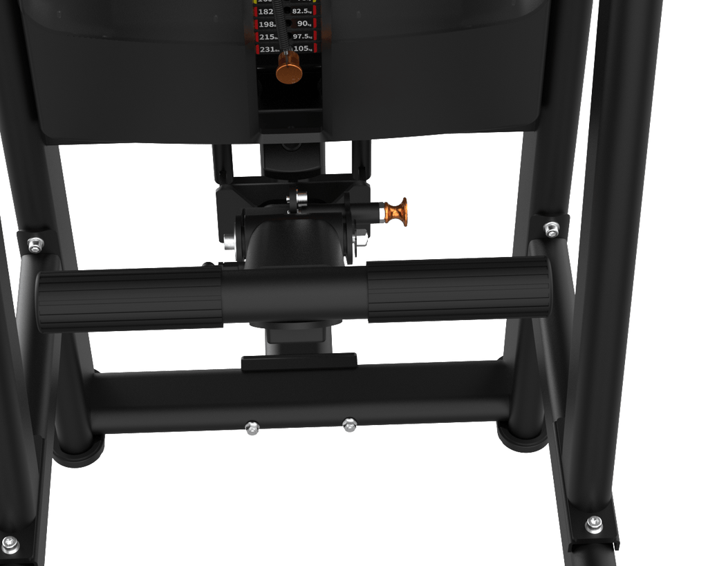 Assisted Chin & Dip IRONSIDE Luxe